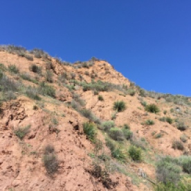 If you look closely at the top of the hill in the center of this picture, you can see a metal bar protruding from the hillside where the concrete of the dam was ripped away from the wing dike.